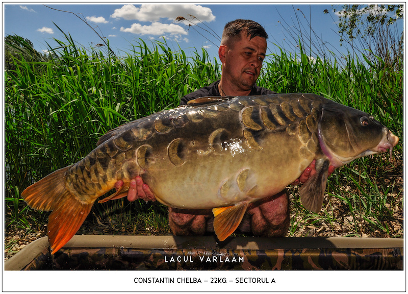 Constantin Chelba - 22kg, Sectorul A.jpg