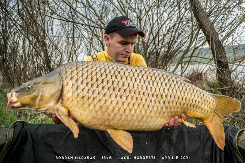 Bogdan Madaras - 16kg.jpg