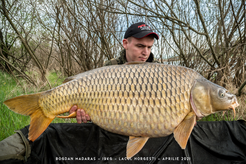 Bogdan Madaras - 19kg.jpg