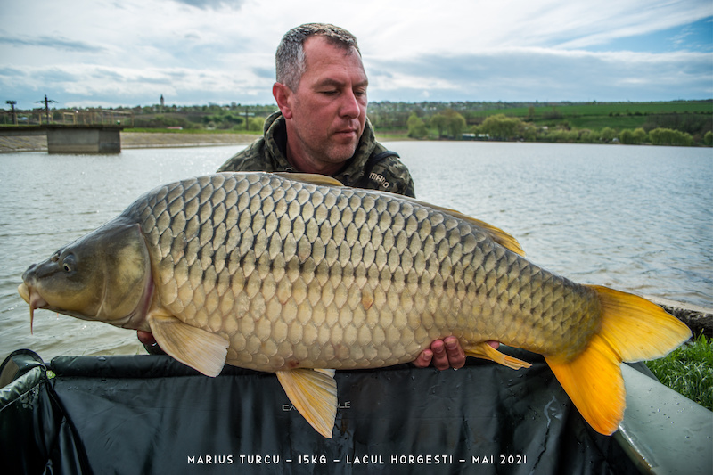 Marius Turcu - 15kg.jpg