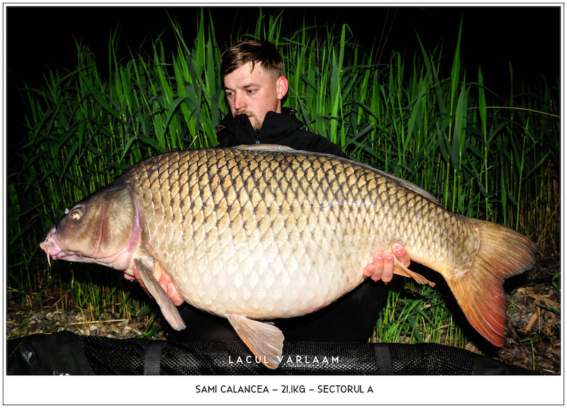 Sami Calancea - 21,1kg, Sectorul A.jpg