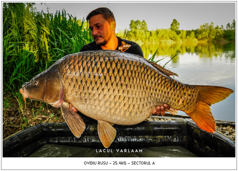 Ovidiu Rusu - 25,4kg, Sectorul A.jpg