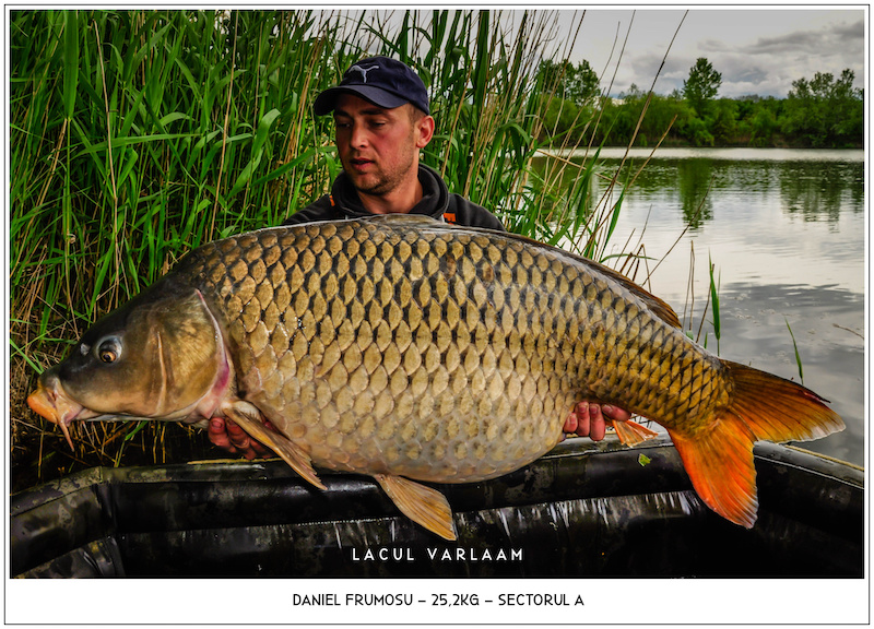 Daniel Frumosu - 25,2kg, Sectorul A.jpg