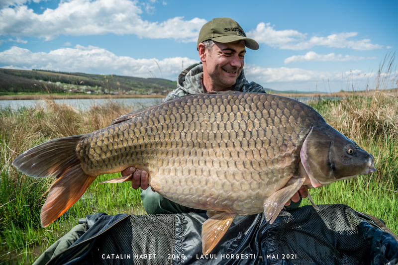 Catalin Habet - 20kg.jpg