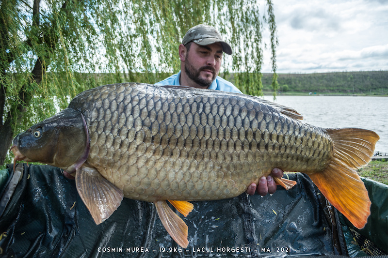 Cosmin Murea - 19,9kg.jpg