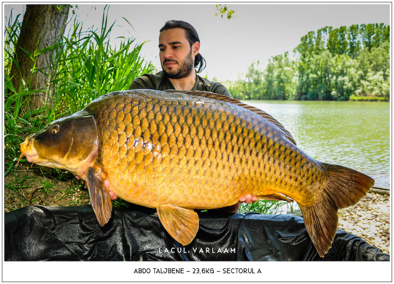 Abdo Taljbene - 23,6kg, Sectorul A.jpg