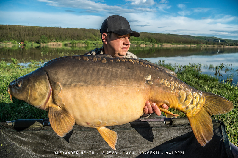 Alexander Nehtii - 18,25kg.jpg