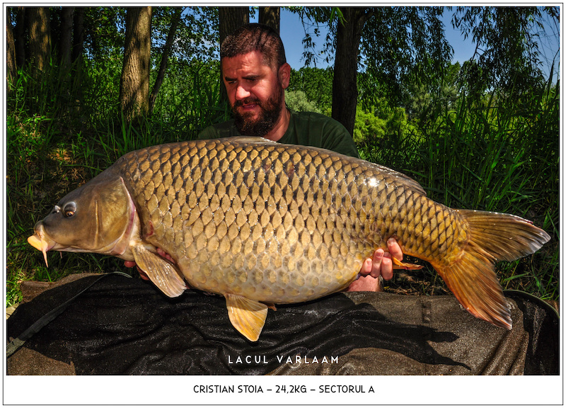 Cristian Stoia - 24,2kg, Sectorul A.jpg