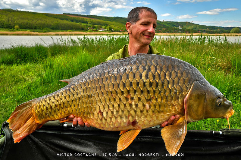 Victor Costache - 17,5kg.jpg