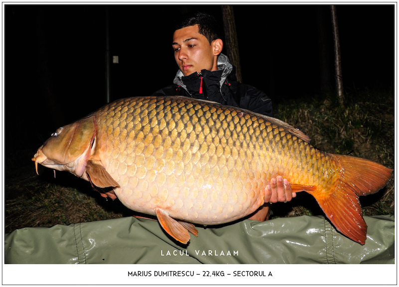 Marius Dumitrescu - 22,4kg, Sectorul A.jpg