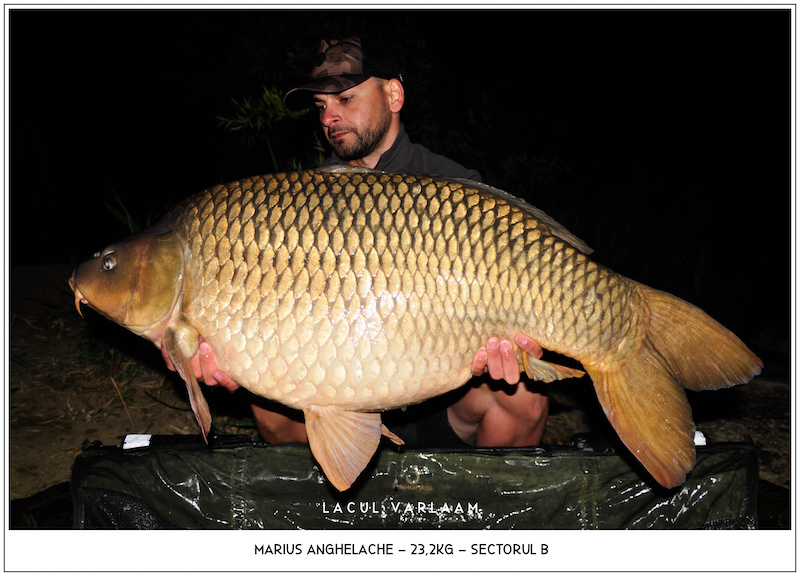 Marius Anghelache - 23,2kg, Sectorul B.jpg