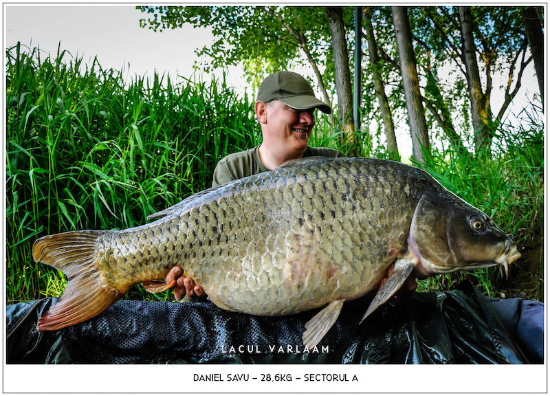 Daniel Savu - 28,6kg, Sectorul A.jpg