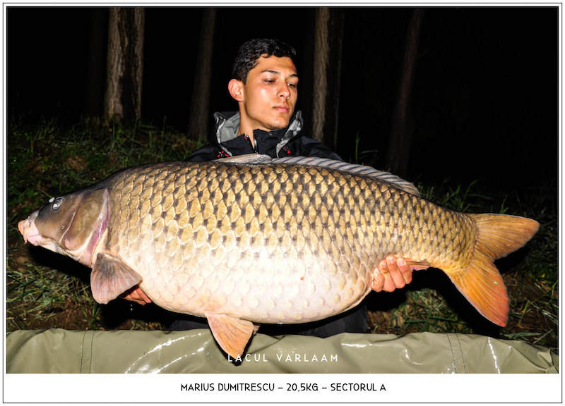 Marius Dumitrescu - 20,5kg, Sectorul A.jpg