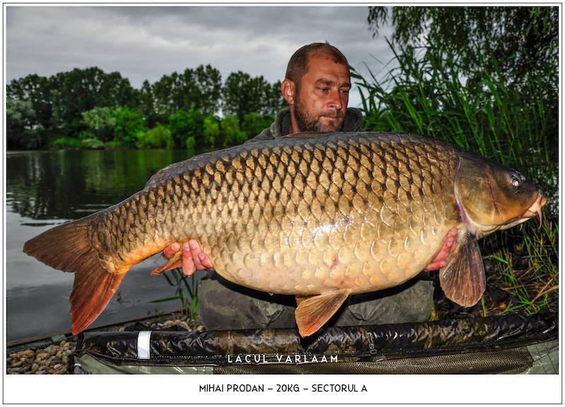 Mihai Prodan - 20kg, Sectorul A.jpg