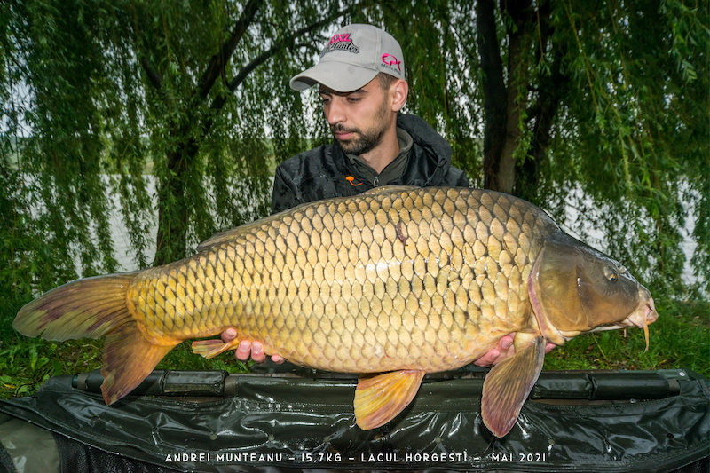 Andrei Munteanu - 15,7kg.jpg