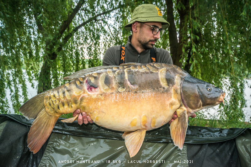 Andrei Munteanu - 18,5kg.jpg