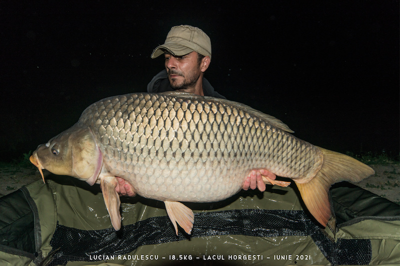 Lucian Radulescu - 18,5kg.jpg