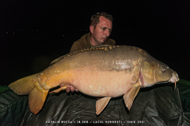 Catalin Bucsa - 18,3kg.jpg