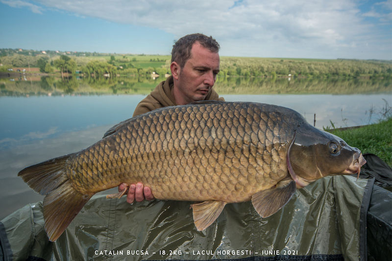 Catalin Bucsa - 18,2kg.jpg