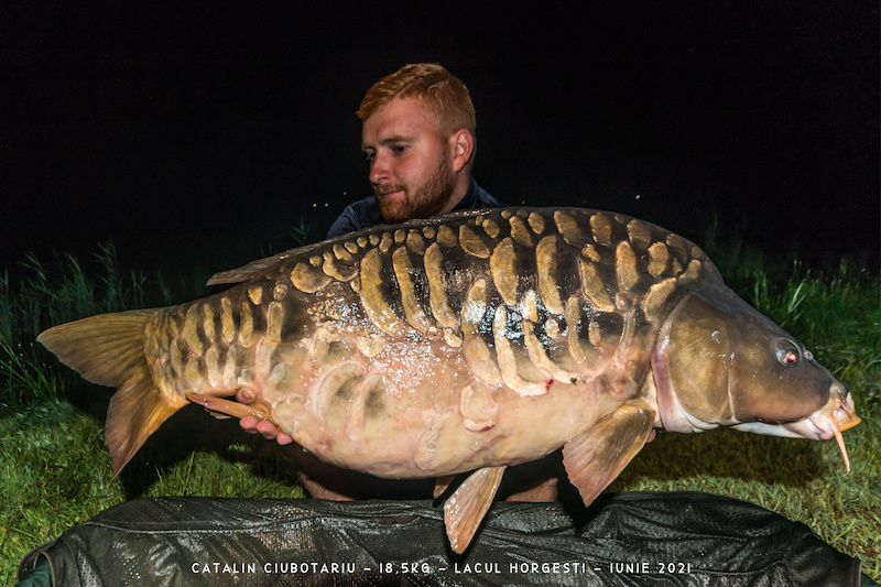 Catalin Ciubotariu - 18,5kg.jpg