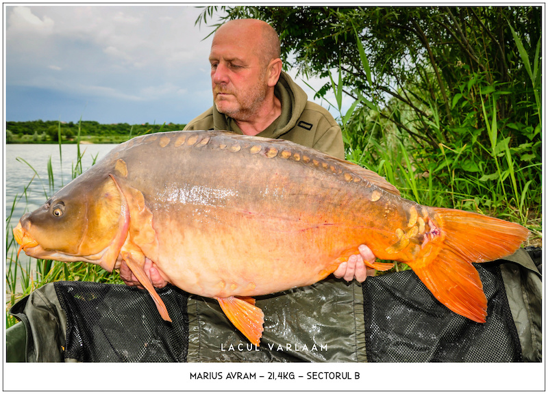 Marius Avram - 21,4kg, Sectorul B.jpg