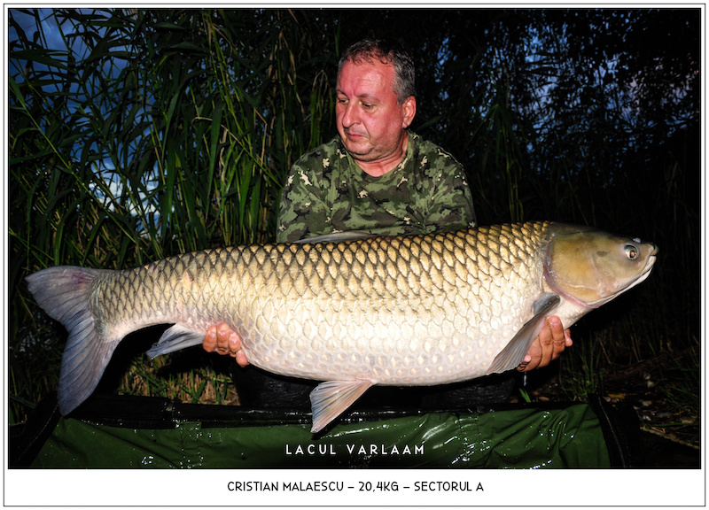 Cristian Malaescu - 20,4kg, Sectorul A.jpg