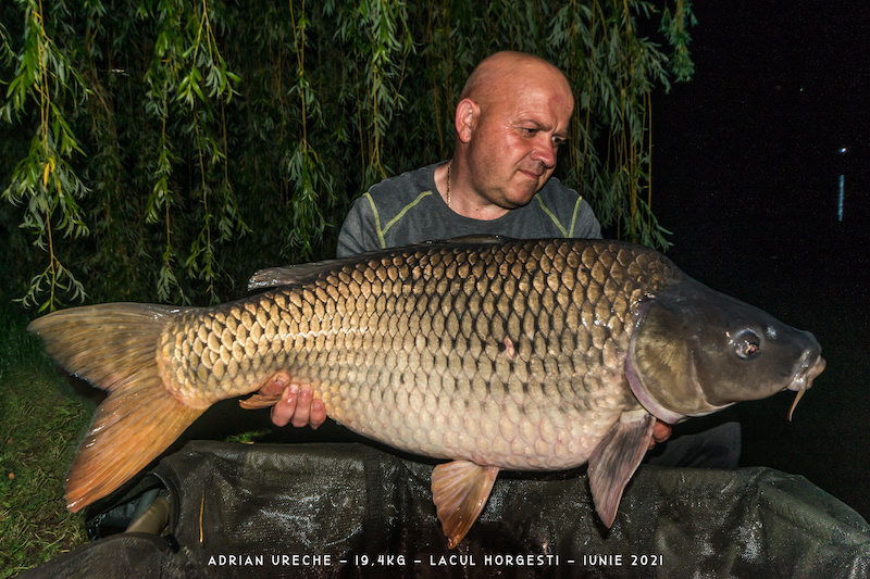 Adrian Ureche - 19,4kg.jpg