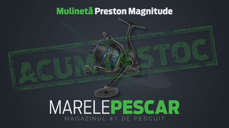 Mulineta-Preston-Magnitude-acum-in-stoc (1).jpg