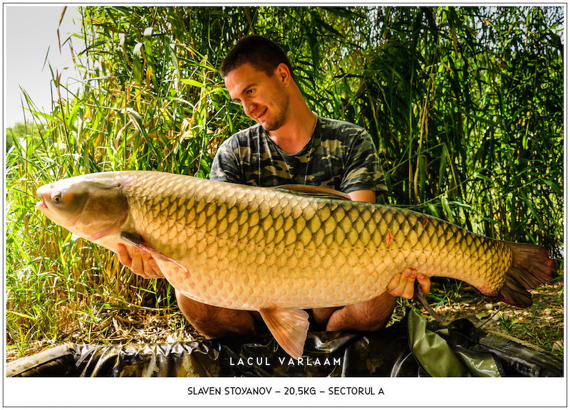 Slaven Stoyanov - 20,5kg, Sectorul A.jpg