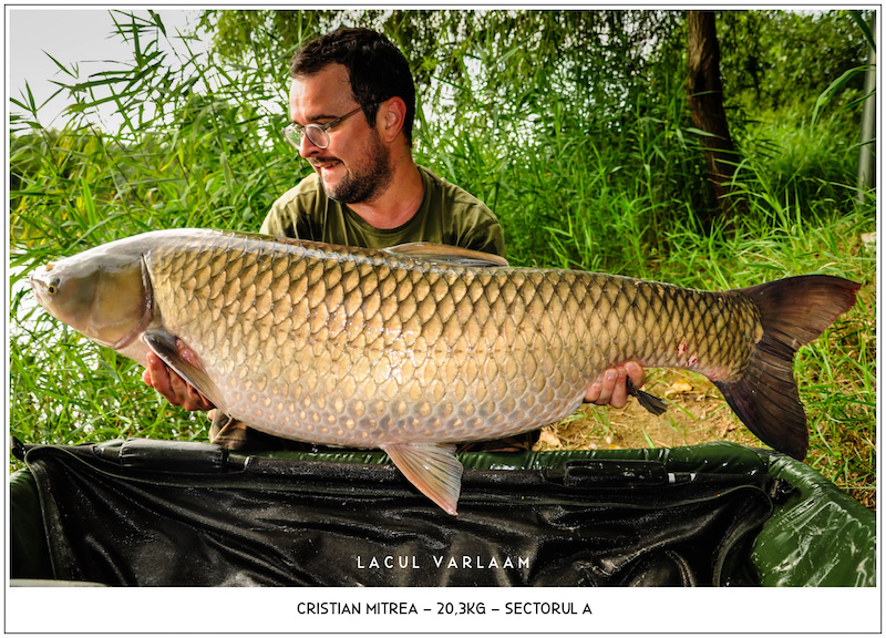 Cristian Mitrea - 20,3kg, Sectorul A.jpg