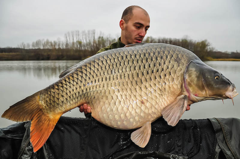 Gabi Calin_23,3kg.jpg