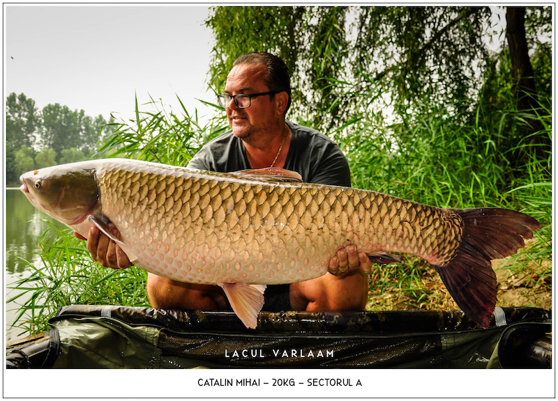 Catalin Mihai - 20kg, Sectorul A.jpg