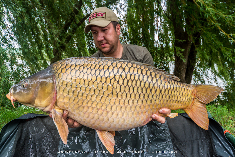 Andrei Negru - 17,5kg.jpg