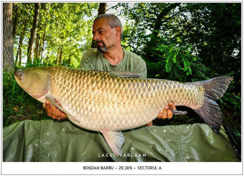 Bogdan Barbu - 20,2kg, Sectorul A.jpg