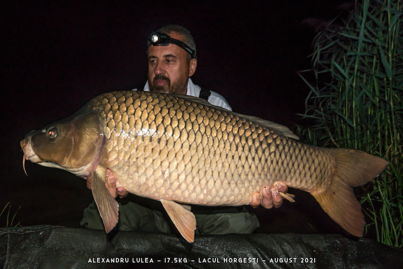 Alexandru Lulea - 17,5kg.jpg