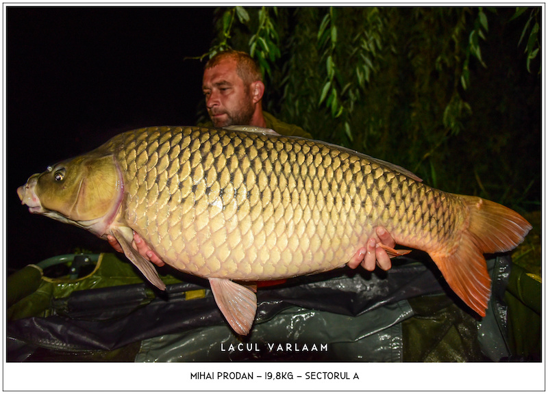 Mihai Prodan - 19,8kg, Sectorul A.jpg