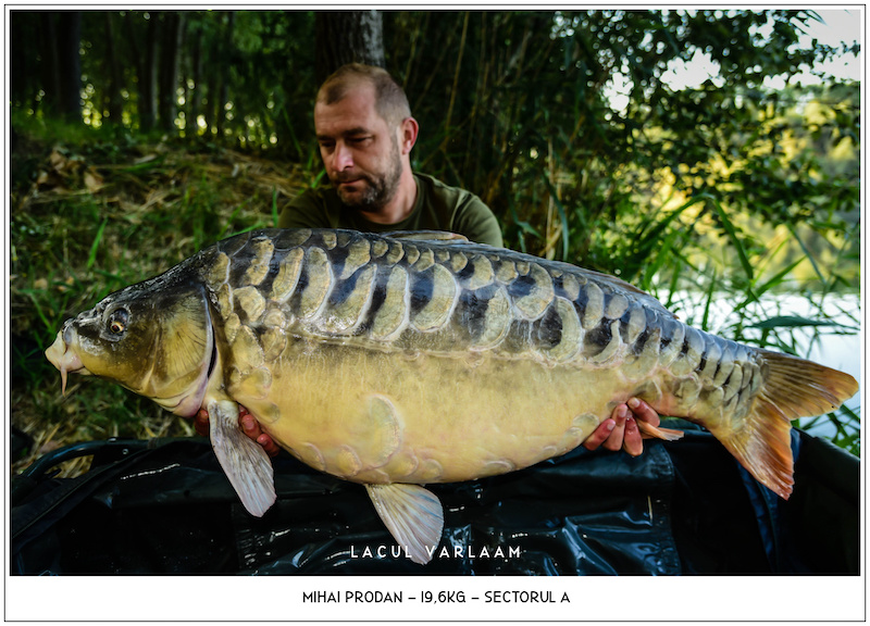 Mihai Prodan - 19,6kg, Sectorul A.jpg