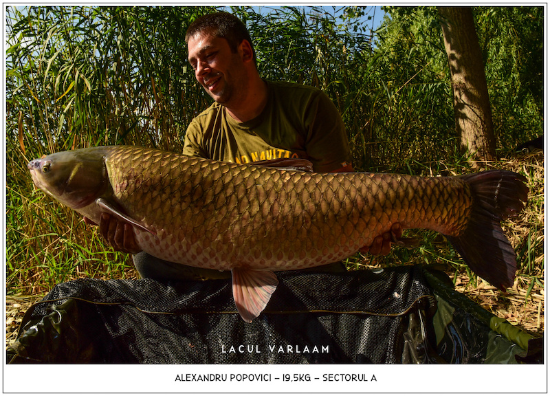 Alexandru Popovici - 19,5kg, Sectorul A.jpg