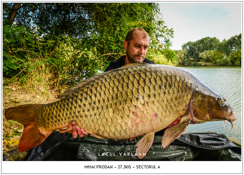 Mihai Prodan - 27,3kg, Sectorul A.jpg