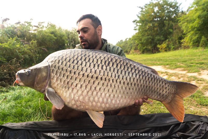 Dani Sirbu - 17,6kg.jpg