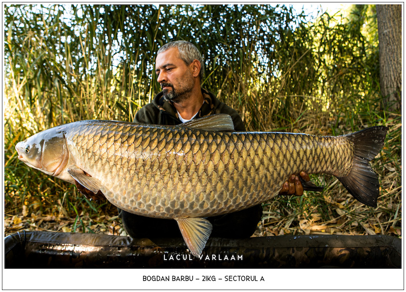 Bogdan Barbu - 21kg, Sectorul A.jpg