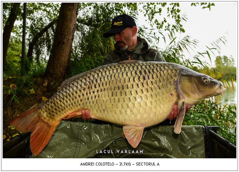 Andrei Colotelo - 21,7kg, Sectorul A.jpg