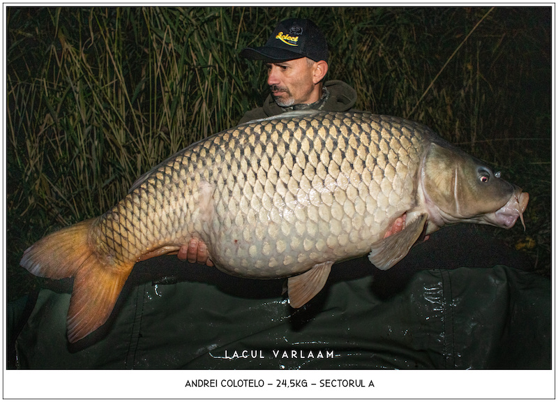 Andrei Colotelo - 24,5kg, Sectorul A.jpg