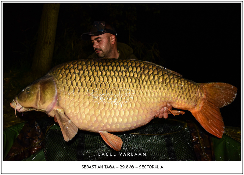 Sebastian Taga - 29,8kg, Sectorul A.jpg