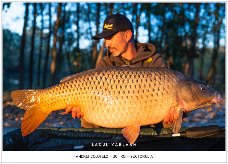 Andrei Colotelo - 20,1kg, Sectorul A.jpg