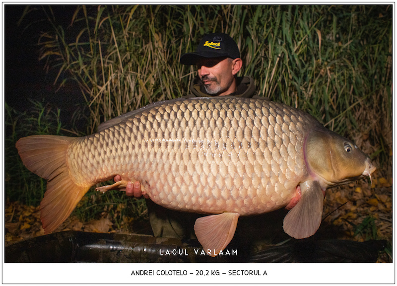 Andrei Colotelo - 20,2kg, Sectorul A.jpg