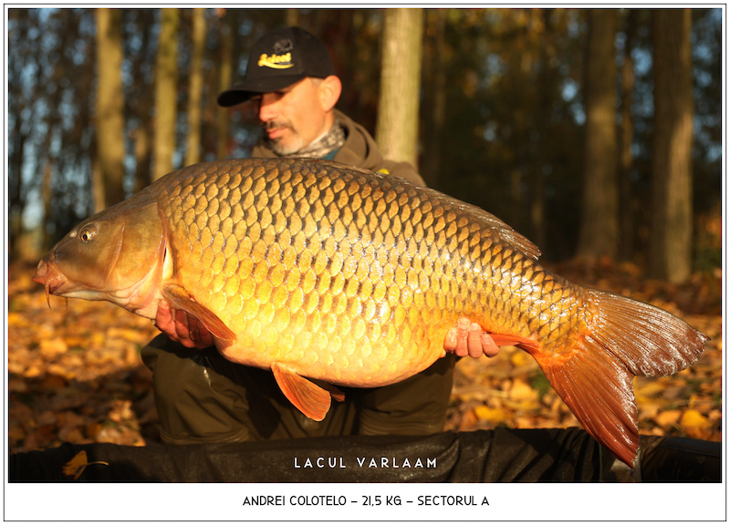 Andrei Colotelo - 21,5kg, Sectorul A.jpg