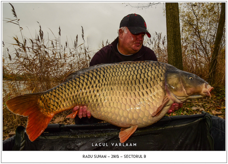 Radu Suhan - 21kg, Sectorul B.jpg