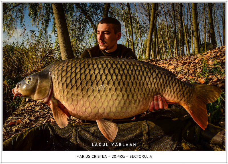 Marius Cristea - 20,4kg, Sectorul A.jpg