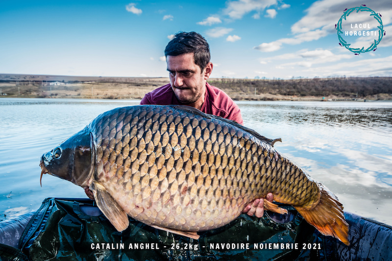 3. Catalin Anghel - 26,2kg.jpg